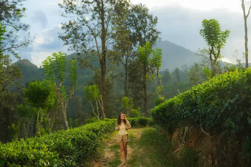 13 Giorni Viaggio per Amare lo Sri Lanka